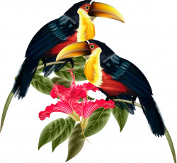 Картинка векторная+графика ветка цветы листья туканы птицы