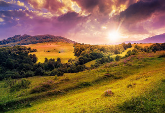 Картинка природа восходы закаты холмы деревья полянка цветы солнце hills trees lawn meadow flowers sun nature