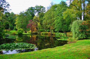 Картинка cholmondeley+england природа парк англия пруд деревья трава