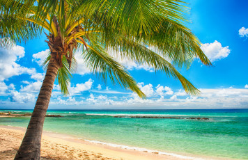 Картинка природа тропики облака песок пальма океан
