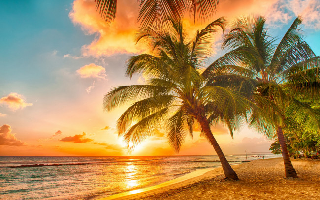 Обои картинки фото природа, тропики, океан, пальмы, закат, песок