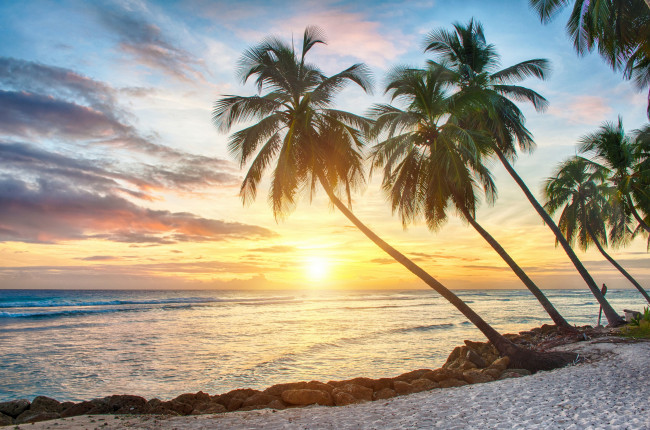 Обои картинки фото природа, тропики, пальмы, океан, песок, закат