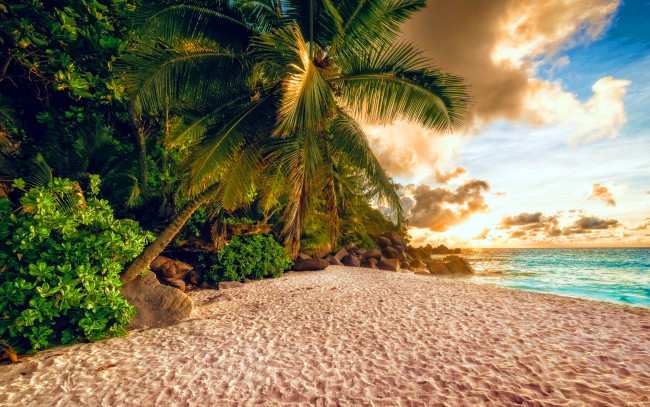 Обои картинки фото природа, тропики, пляж, море, пальмы, облака