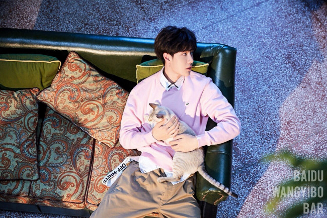 Обои картинки фото мужчины, wang yi bo, актер, певец, свитер, кошка, диван, подушки