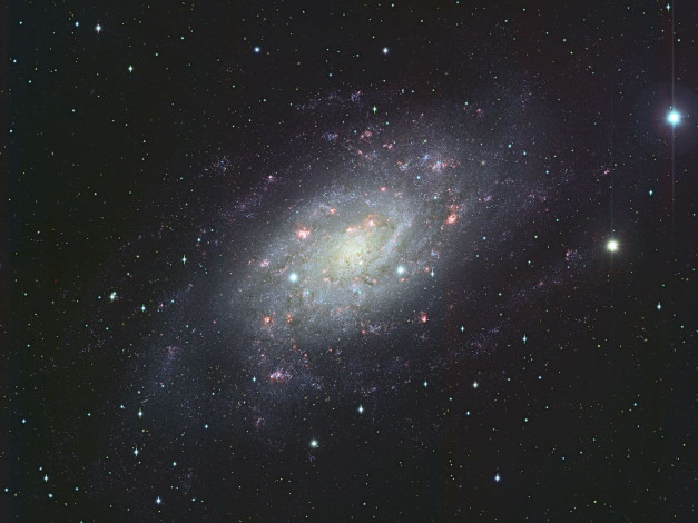 Обои картинки фото спиральная, галактика, ngc, 2403, космос, галактики, туманности