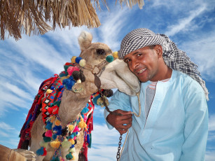 Картинка мужчины unsort араб верблюд