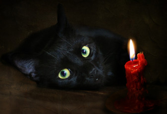 Картинка рисованные животные кошка свеча