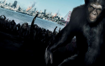 Картинка восстание планеты обезьян кино фильмы rise of the planet apes обезьяны город вожак