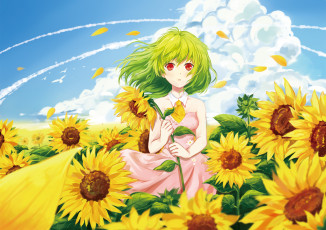 Картинка аниме touhou желтое поле красные глаза арт подсолнухи девушка облака небо зелёные волосы розовое платье