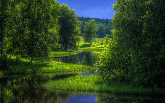 Обои картинки фото природа, реки, озера, зелень, река, лес, лето