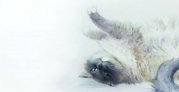 Картинка рисованное животные +коты потягивается лежит кошка арт кот акварель