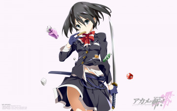 Картинка аниме akame+ga+kill девочка меч