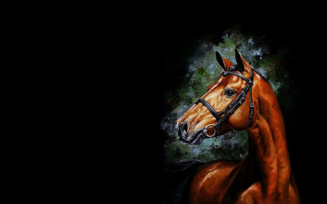 Картинка рисованное животные +лошади арт лошадь конь минимализм