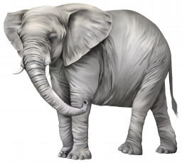 Картинка рисованное животные +слоны фон слон