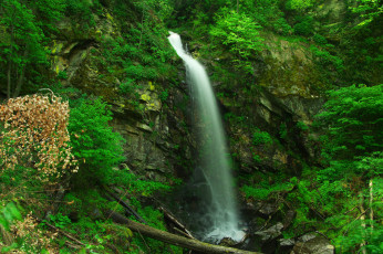 Картинка природа водопады leaves water waterfall stream осень листья autumn вода поток водопад
