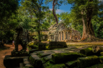 обоя ta prohm, города, - буддийские и другие храмы, капище