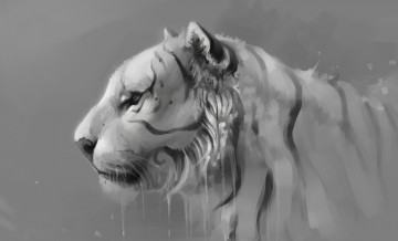 Картинка рисованное животные +тигры тигр серый фон