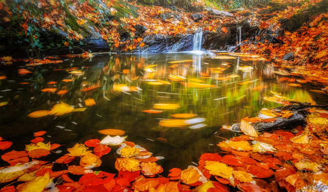 Обои картинки фото природа, водопады, вода, autumn, water, stream, осень, листья, waterfall, leaves, поток, водопад