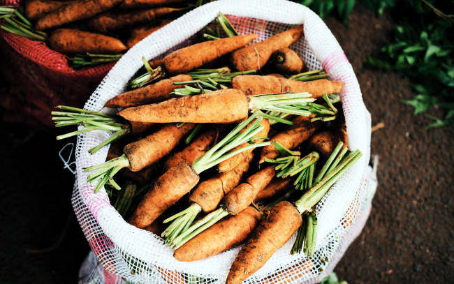 Обои картинки фото еда, морковь, урожай, корнеплоды, много, мешок
