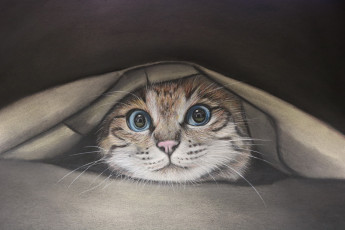 Картинка рисованное животные взгляд фон кот