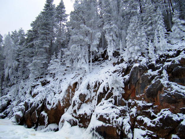 Обои картинки фото природа, зима, деревья, снег, лес, обрыв