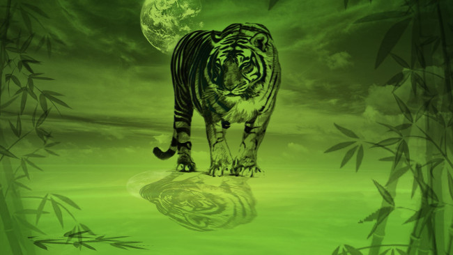 Обои картинки фото рисованное, животные,  тигры, бамбук, луна, тигр