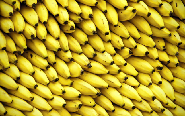 Обои картинки фото еда, бананы, желтые, много