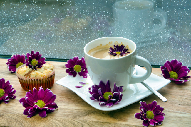 Обои картинки фото еда, кофе,  кофейные зёрна, кекс, хризантемы