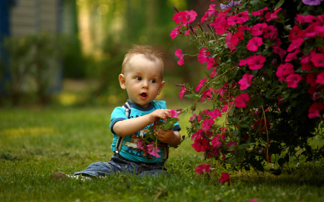 Обои картинки фото разное, дети, мальчик, трава, цветы