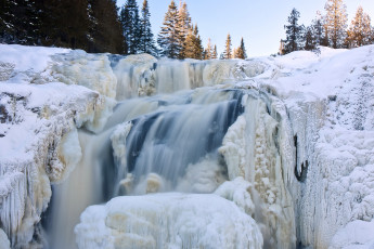 Картинка природа водопады снег ели лед вода