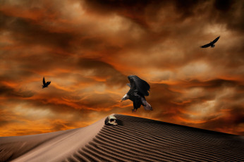 Картинка 3д графика horror ужас тучи песок орлы череп