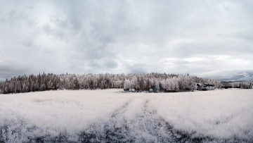 Картинка природа зима иней лес поле облака