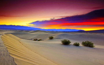 Картинка desert at dusk природа пустыни пустыня песок трава краски барханы