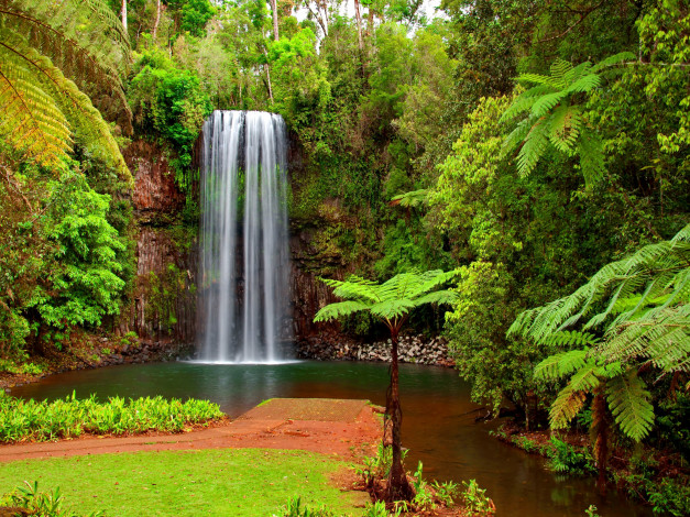 Обои картинки фото hidden, paradise, природа, водопады, тропики, пальмы, водопад