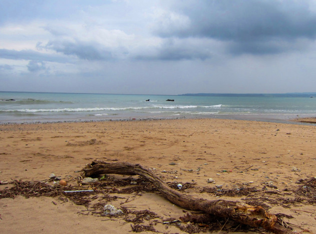 Обои картинки фото driftwood, природа, побережье, пляж, коряга, море