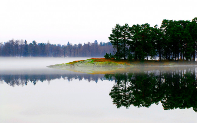 Обои картинки фото lake, in, fog, природа, реки, озера, лес, туман, озеро