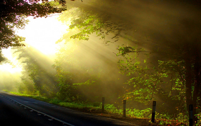 Обои картинки фото morning, rays, of, sun, природа, дороги, лес, шоссе, свет, туман