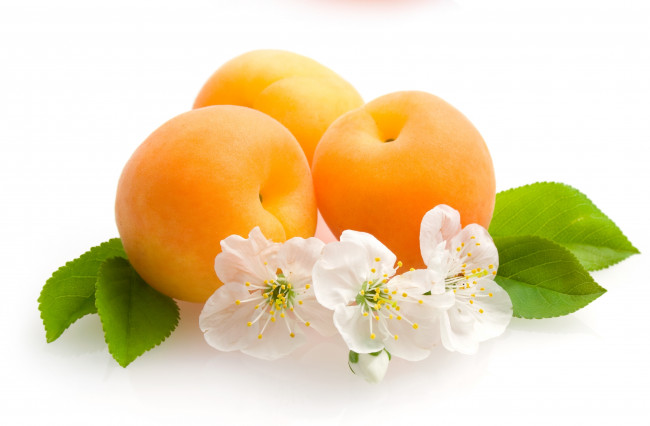 Обои картинки фото еда, персики, сливы, абрикосы, цветы