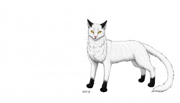 Картинка рисованные животные +коты животное белый фон