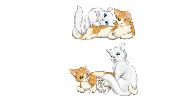 Обои картинки фото рисованные, животные,  коты, белый, фон