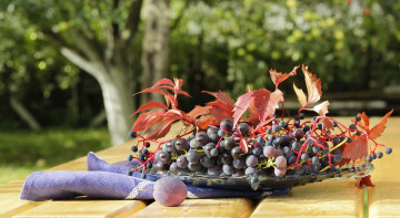 Картинка еда виноград кисть спелый листья