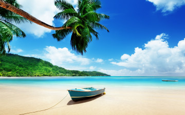 Картинка корабли лодки +шлюпки лодка пальма тропики море