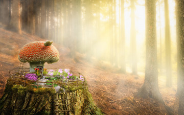 Картинка разное компьютерный+дизайн лес гриб пенек домик
