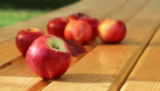 Обои картинки фото еда, Яблоки, яблоки, спелые, сочные, фрукт