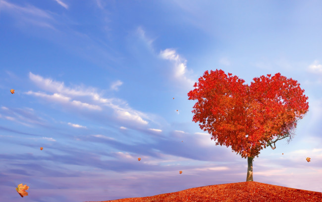 Обои картинки фото разное, компьютерный дизайн, осень, дерево, сердце, листопад