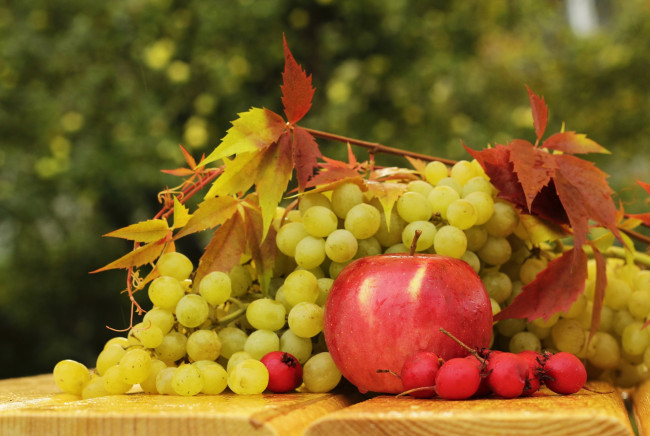Обои картинки фото еда, фрукты,  ягоды, виноград, кисть, спелый, листья, яблоко