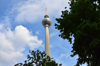 Картинка города берлин+ германия дерево телебашня