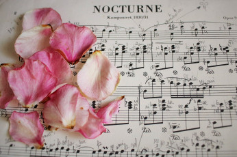 Картинка музыка -другое лепестки розы ноты