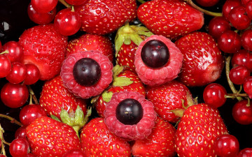 Картинка еда фрукты +ягоды клубника малина смородина