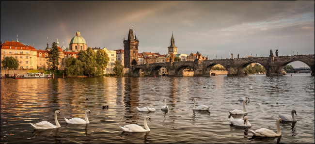Обои картинки фото города, прага , Чехия, влтава, мост, карлов